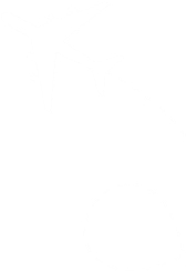Park SFO